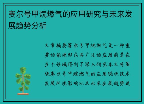 赛尔号甲烷燃气的应用研究与未来发展趋势分析